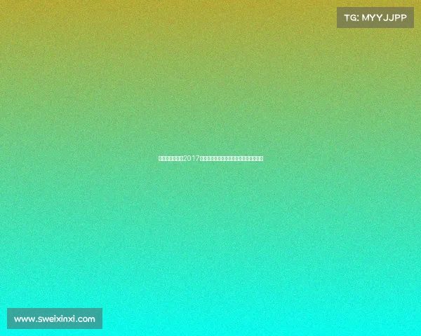 湖北女子排球队2017年征战国内外赛事奋勇拼搏铸就辉煌纪实